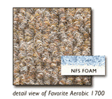 AZO Favorite Aerobic 1700 NFS Foam